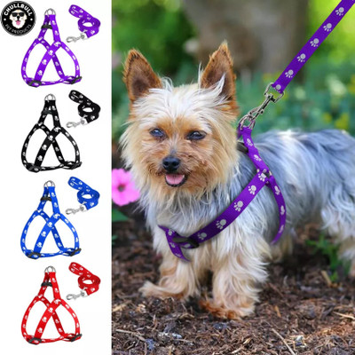 chullbull pet products Cute Paw Print Dog Harness and Leash Nylon Pet Step In Strap Walking Vest Small Dog & Cat Harness & Leash(Extra Small, Multi-color)