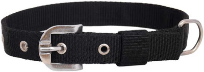 KLASSY Dog Everyday Collar(Medium, Black)