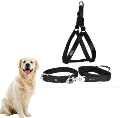 Regiis Dog Harness & Leash(Small, Black)