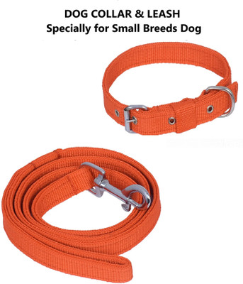 Quickato Dog Belt Combo of Orange Dog Collar with Dog Leash Specially for Small Breeds Dog Collar & Leash(Medium, Orange)