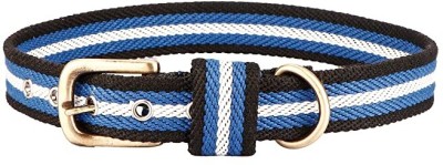 Sparrow Daughter Dog Everyday Collar(45 - 66 cm, Blue White Black)