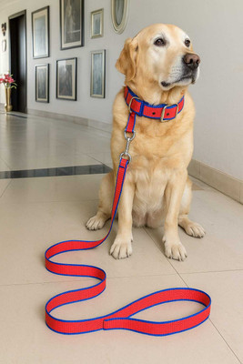ORMAN Durable red Dog Collar and Leash Set – Adjustable & Comfortable. Dog Collar & Leash(Extra Large, RED)
