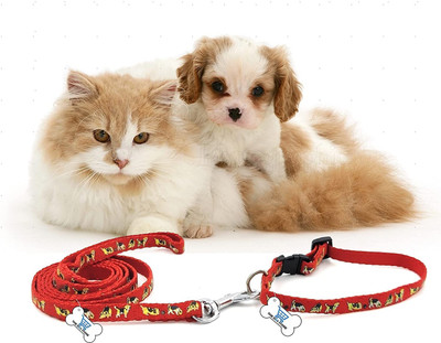 THE DDS STORE Dog & Cat Everyday Collar(Extra Small, Dog Printed Collar & Leash Red)