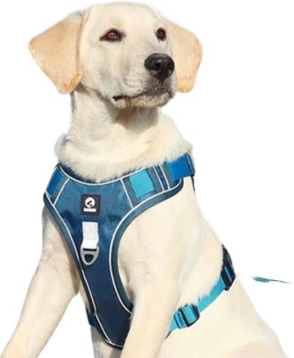 Love4Tails 4-7kg Dog Standard Harness(Small, Blue)