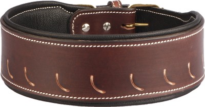 Sparrow Daughter Leather Dog Collar | Neck Belt for All Breeds -(20X2.5 Inch) Dog Everyday Collar(Large, Dark Brown)