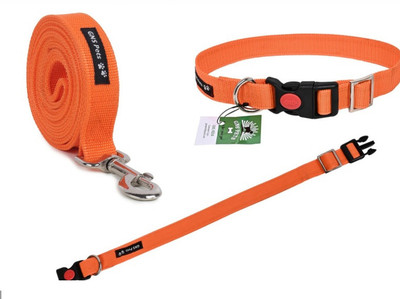 GNS PETS 6 feet long Strap leash & Collar Set for Puppy & medium dogs & Cat Dog & Cat Collar & Leash(Medium, Multicolor Orange)