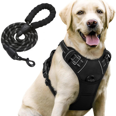 Egab Dog Everyday Collar(Large, Black)