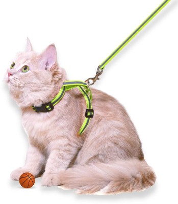 BODY BUILDING Reflective Cat Harness with Leash Set for Walking , Escape Proof Dog & Cat Harness & Leash(Medium, 0.5 Inch Green)