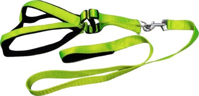 Petfun Adjustable Dog Padded Harness Chest Belt and Leash Set(25MM), Dog Harness & Leash(Medium, GREEN)