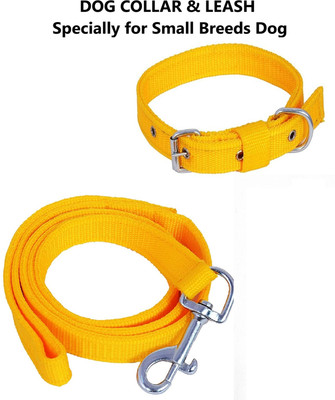 Quickato Dog Belt Combo of Yellow Dog Collar with Dog Leash Specially for Small Breeds Dog Collar & Leash(Medium, Yellow)