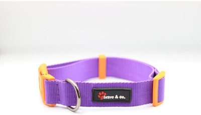Bravo & Co. Solid Purple Colour Dog Collar Belt – Durable, Comfortable,Adjustable Collar for Dog Everyday Collar(Small, Purple)