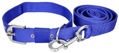 THE PETS POPULAR Leash Collar Set Dog Collar & Leash(Small, Blue)