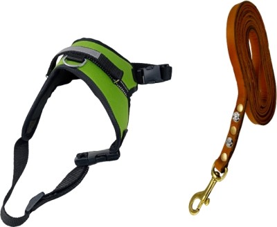 Daviloss Paws Medium Adjustable Neck 20-26 inch Chest Size 25-32 No Pull Reflec Leather Leash Dog Buckle Harness(Medium, Green)