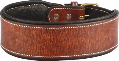 Sparrow Daughter Leather Dog Collar | Neck Belt for All Breeds -(22X2.5 Inch) Dog Everyday Collar(Extra Large, Dark Brown)