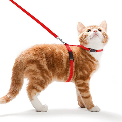 BODY BUILDING Adjustable Red Cat Harness with Red Leash for All Cats & Kitten Easy to Fit Easy to Control Cat Harness & Leash(Medium, Red)