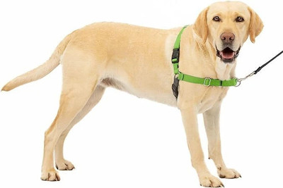 Paw Prints Premium No-Pull Dog Harness with Leash | Adjustable Dog Harness & Leash(Small, Green)