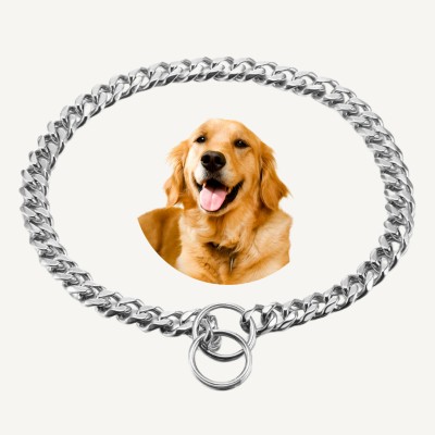 Regiis Dog Luxurious Accessorie Neck Chain Collar For Medium Size Dogs Dog Choke Chain Collar(Medium, SIlver)