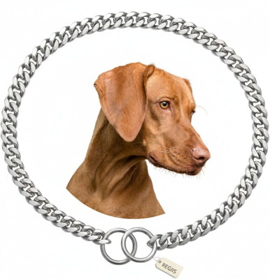 Regiis Dog SIlver Neck Collar Chain accessories for Medium Breed Dog Dog Choke Chain Collar(Medium, Silver)