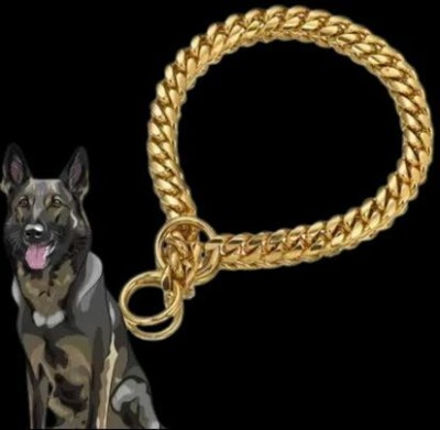 Petstorez Golden chain for medium bread Dog Choke Chain Collar(Medium, blue)