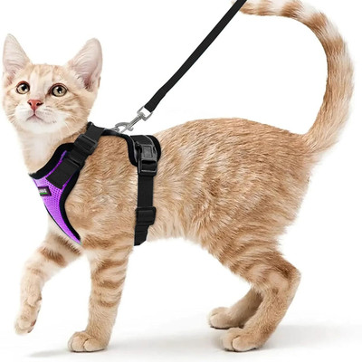 Buraq Cat Harness Wth Leash for Walking | Escape Proof | Air Mesh Fabric Cat Standard Harness(Extra Small, Purple)