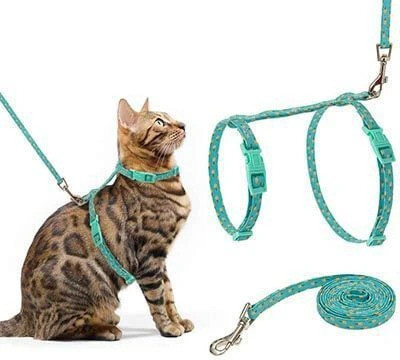 Hachiko Cats Need Cat Nylon Collar Harness with Leash Set Adjustable For All Size Cats Cat Harness & Leash(Medium, MULTICOLOR)