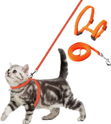 Buraq Cat Harness Full Body With Leash Set - For Walking | Escape Proof Cat Buckle Harness(Medium, ORANGE)