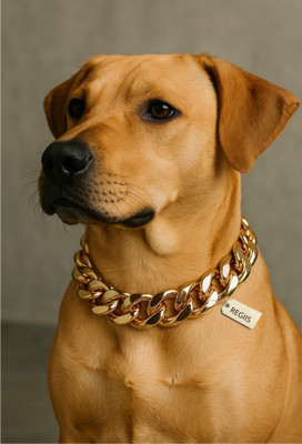 Regiis Premium Pet Collar Chain| Lightweight for Dock Neck I 26 Inches - Extra Large | Dog Choke Chain Collar(Extra Large, Rose Gold)