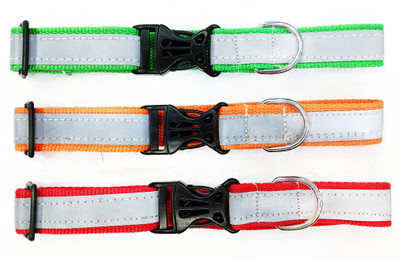 Rexalt Dog & Cat Everyday Collar(35 - 50 cm, Multicolor)