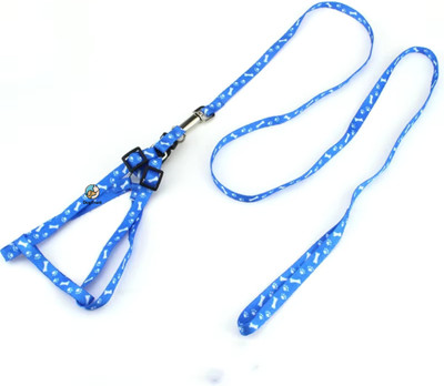 DogTrust Bone and Paw Print Adjustable Harness Leash Set for Dog (Random 1pcs) Dog & Cat Harness & Leash(Medium, Multicolor)