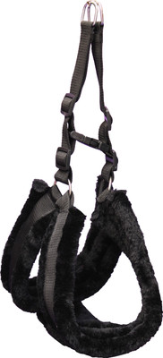 Petshop7 Dog Harness & Leash(Large, Black)
