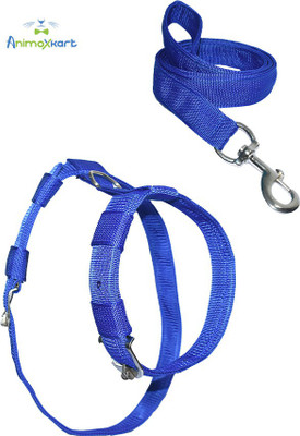 animoxkart Dog Collar & Leash(Extra Large, BLUE)