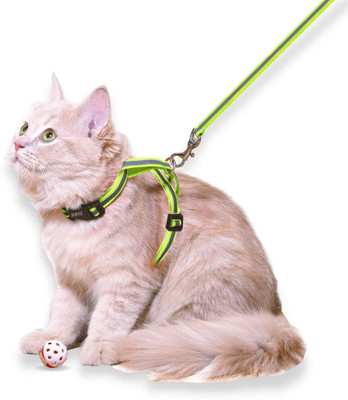 Buraq Reflective Cat Harness with Leash Set for Walking , Escape Proof Cat Harness & Leash(Medium, Green)