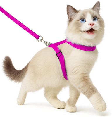 Buraq Cat Harness Full Body With Leash Set - For Walking | Escape Proof Cat Buckle Harness(Medium, PINK)