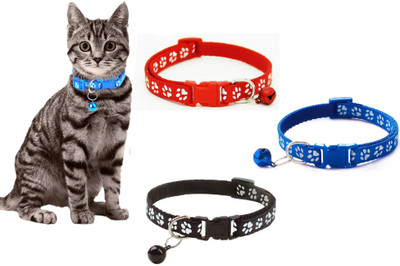 BODY BUILDING Dog & Cat Everyday Collar(Small, 0.5 Inch)