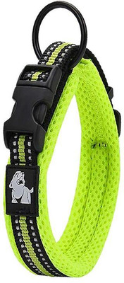 Petsup Dog Collar Dog & Cat Everyday Collar(Medium, Green)