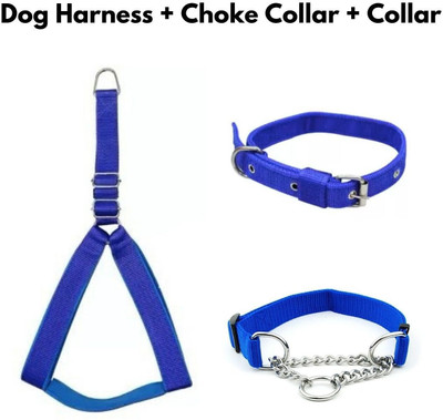 Regiis Dog Harness & Leash(Small, Blue)