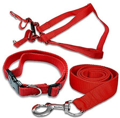 Hundur Store Dog Harness & Leash(Small, Red)