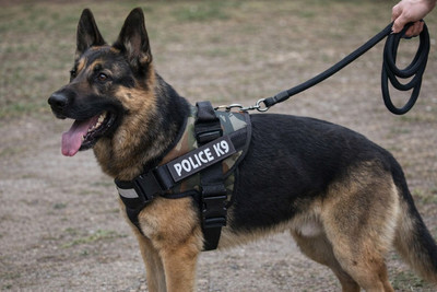 Tame Love K9 Dog Harness with Padded Rope Leash | Adjustable Police Style Harness Dog Harness & Leash(Extra Large, black black)
