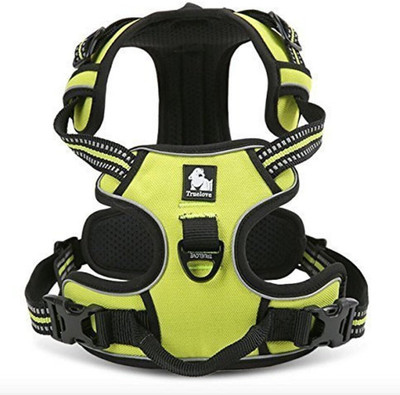 Petsup Dog Harness Dog & Cat Training Harness(Large, Green)