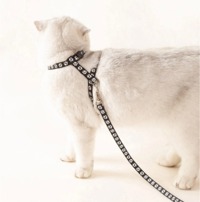 DogTrust Suitable for small to medium kitten Dog & Cat Harness & Leash(Small, black)