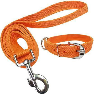 JADEE Dog & Cat Collar & Leash(Medium, orange)