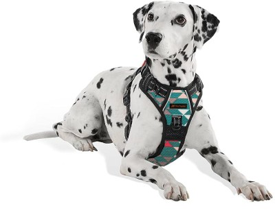 THE PETS POPULAR Green Print Adjustable Double Sided Pro Harness Body Belt with Rope Dog Standard Harness(Small, GREEN)