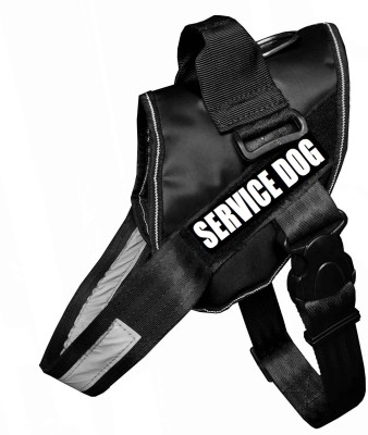 Petshop7 Premiuim Quality Safety Dog Harness Dog Buckle Harness Dog Safety Harness(Medium, Black)
