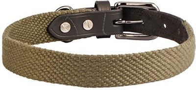 Sparrow Daughter Cotton Leather Dog Collar | Neck Belt for All Breeds- (16 X 20 Inch) Dog Everyday Collar(Medium, Army Green)