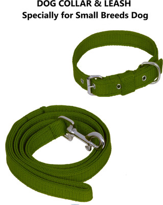 Quickato Dog Belt Combo of Green Dog Collar with Dog Leash Specially for Small Breeds Dog Collar & Leash(Medium, Green)