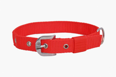 KLASSY Dog Everyday Collar(Small, RED)