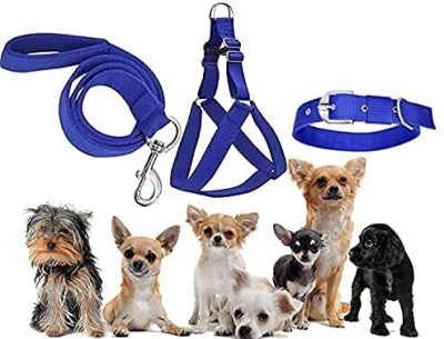 Petstorez Dog Collar & Leash(Small, Blue)
