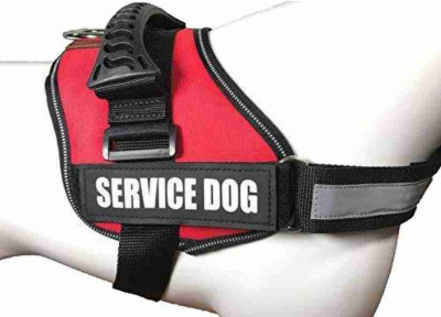 Sip High Quality Dog Harness (Large Size,Red Color) Dog Safety Harness(Large, Red)
