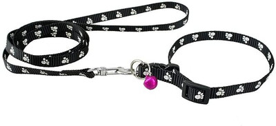 S.Blaze Good Quality Nylon 1/2 inch Cat & Puppy Dog Collar Leash[color may very] Dog & Cat Collar & Leash(Small, Multi Color)