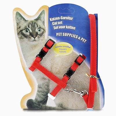 Smart Doggie Padded Harness Strap Collar with Training Leash for Small Cat and Puppies Dog & Cat Harness & Leash(Small, Red)